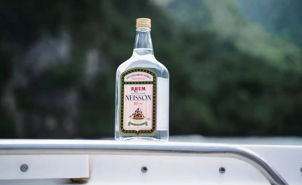 Half day swimming and dolphins on the Caribbean coast