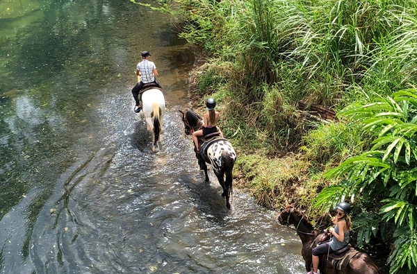 Horse & river for an enchanted ride