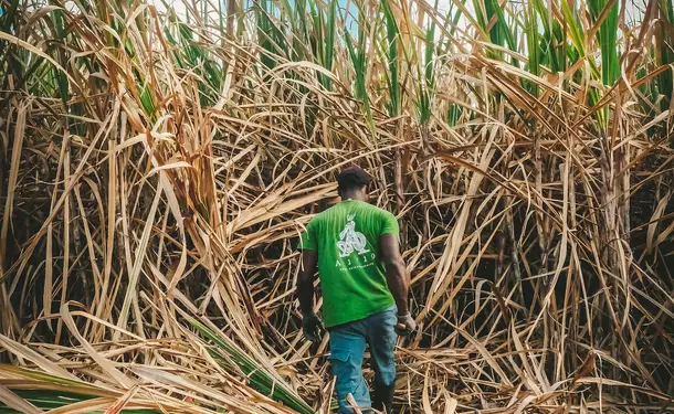 The Distillery A1710