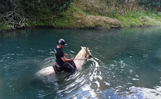 Horse & river for an enchanted ride
