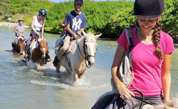 Balade à cheval le long de la côte littorale de l'anse Macabou