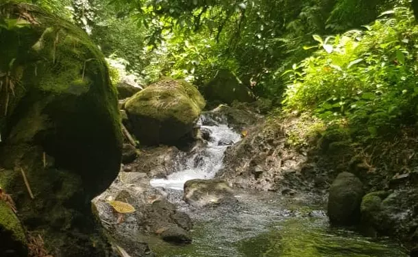 Refreshing getaway at Cascade Dany