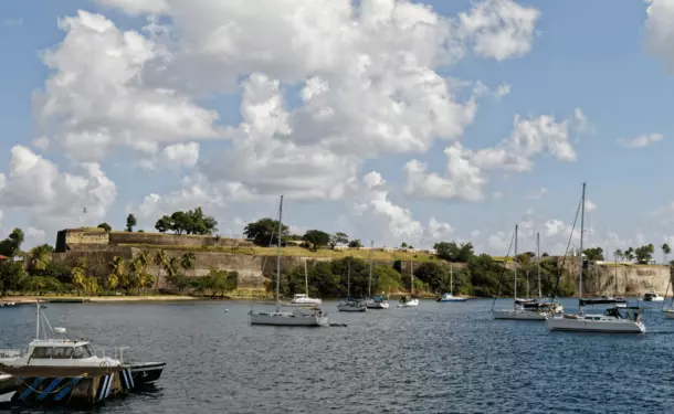 The Saint Louis Fort