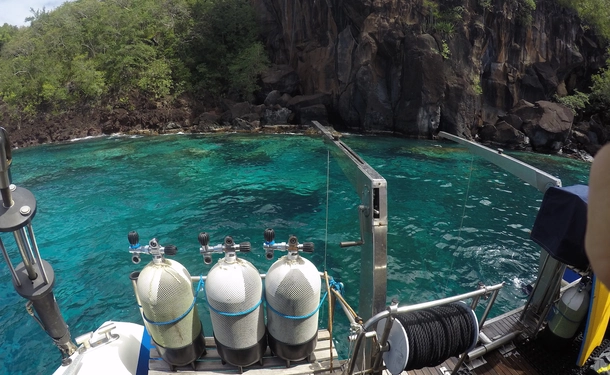 Catamaran day with the turtles in small group