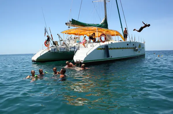 Catamaran et dauphin pour une demi journée tip top