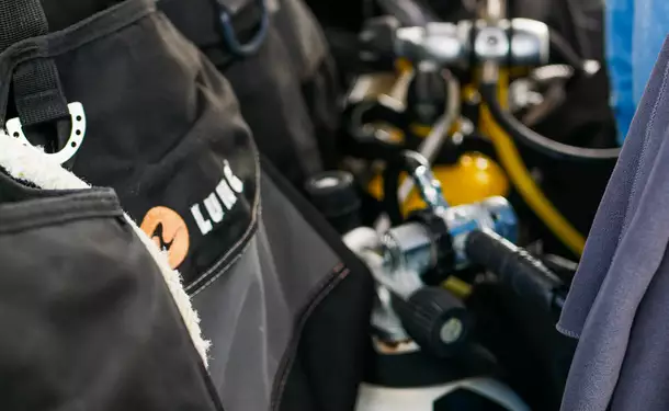 Catamaran, dolphin and diving day for a maximum of fun