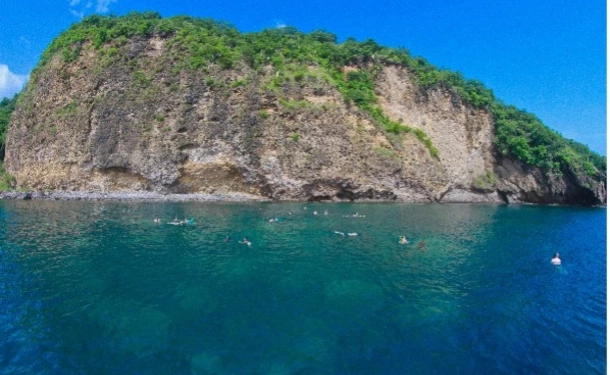 Catamaran and dolphin for a top half day