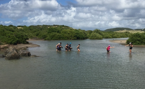 Exciting hike to the petrification savannah