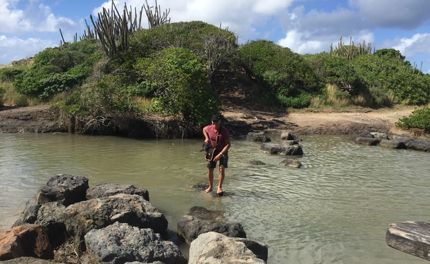 Exciting hike to the petrification savannah