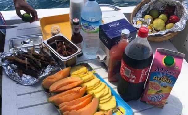 Journée complète sur la côte caraïbe (dauphins, tortues, repas inclus)