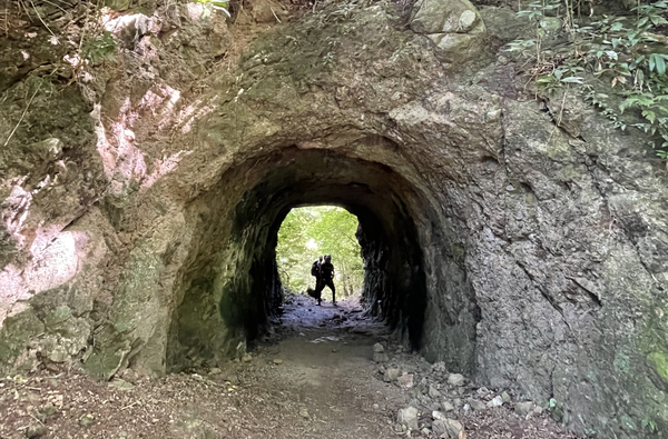 An unforgettable hike from Anse Couleuvre to Grand Rivière