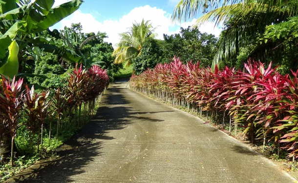 The Bonneville Garden