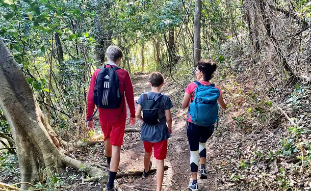 An unforgettable hike from Anse Couleuvre to Grand Rivière