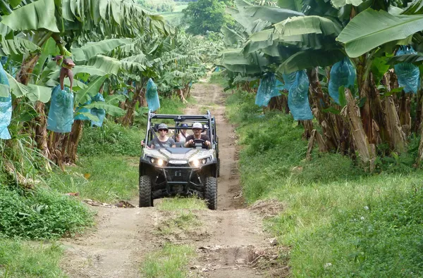 Exotic buggy trip in the North