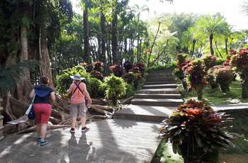 Jardin de Balata & Saint-Pierre, entre histoire et flore locale