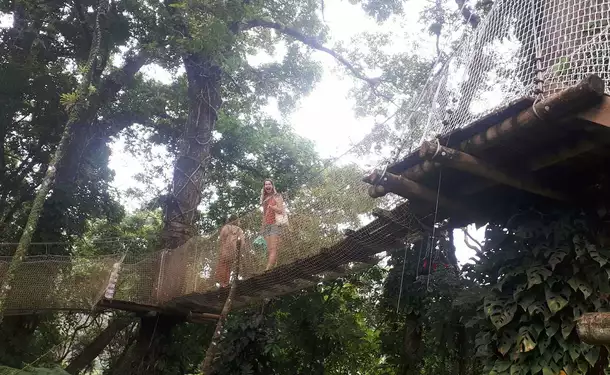 Jardin de Balata & Saint-Pierre, entre histoire et flore locale