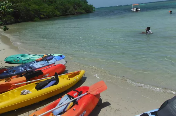 Balade en kayak à l'îlet Chancel et la mangrove