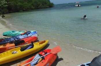 Kayak rental - trip to the Chancel islet and the mangrove