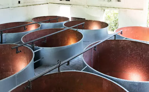 Rum, History and Nature on the Atlantic Coast
