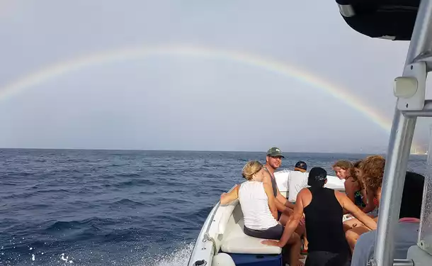 Baignade avec les tortues et découverte du littoral