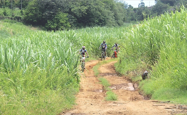 Randonnée tropicale guidée à vélo électrique