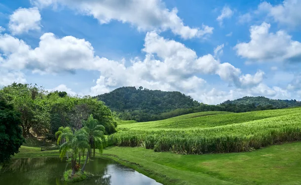 Rum, History and Nature on the Atlantic Coast