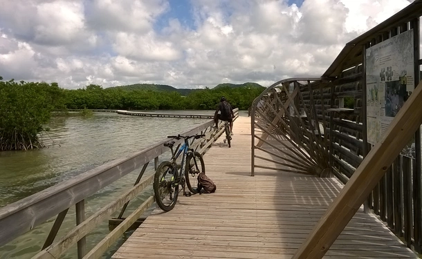 Guided tropical bike ride