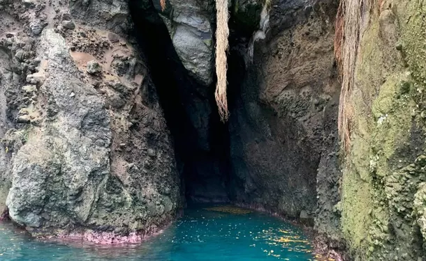Découverte de la côte caraïbe et du sud de l'île