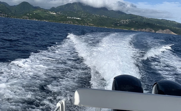Journée complète sur la côte caraïbe (dauphins, tortues, repas inclus)