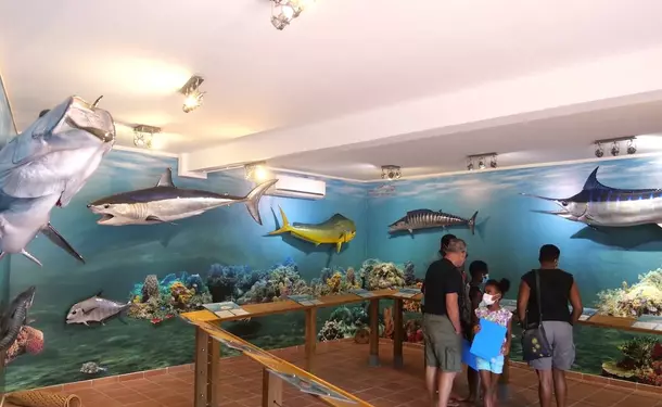 Sea Museum of Martinique