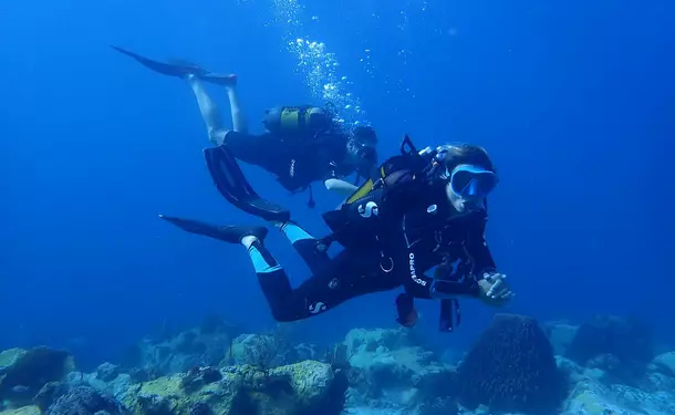 Scuba diving - Discovering the seabed