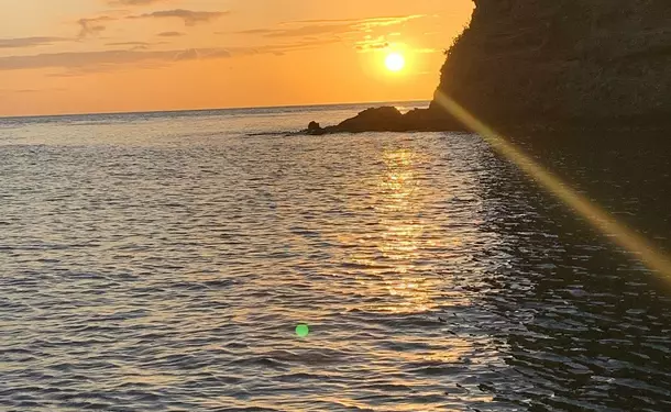 Journée complète sur la côte caraïbe (dauphins, tortues, repas inclus)