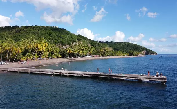 Journée complète sur la côte caraïbe (dauphins, tortues, repas inclus)