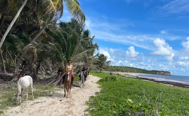 Balade à cheval le long de la côte littorale de l'anse Macabou