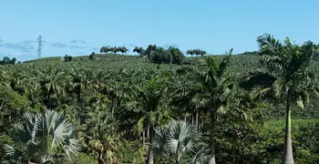 Les Jardins de l'Habitation Clément