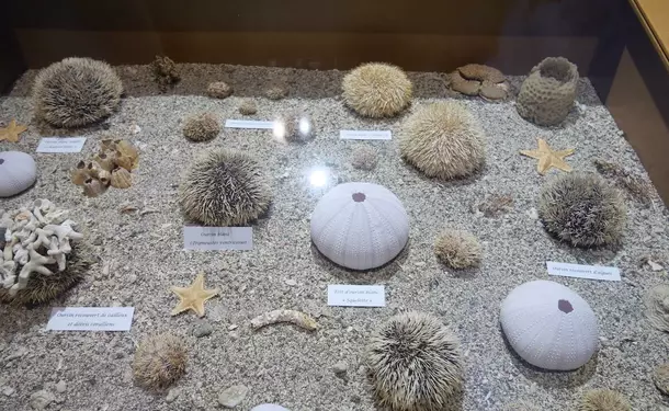 Sea Museum of Martinique