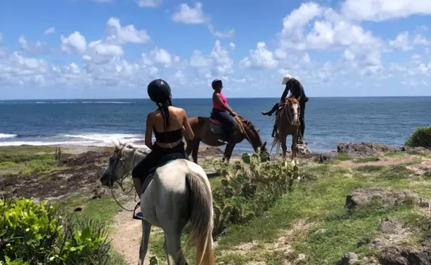Balade à cheval le long de la côte littorale de l'anse Macabou