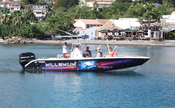 Observation des cétacés (Dauphin)