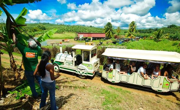 The Belfort house in Martinique - Tourcrib