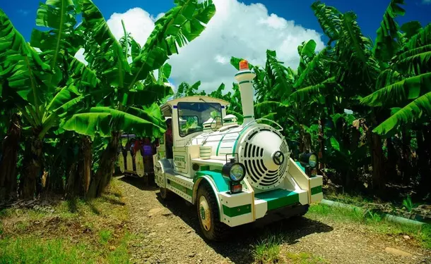 L'habitation Belfort