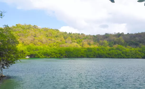 Découverte de la mangrove et du récif corallien