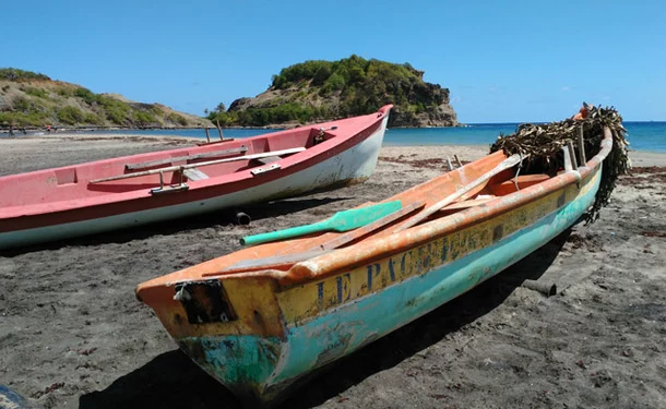 Visite en mini van du nord atlantique