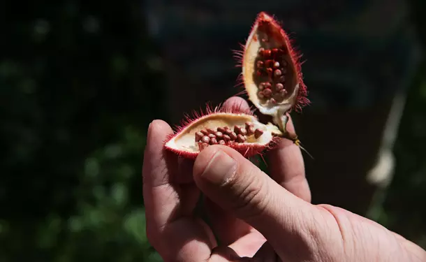 Pavement discovery at the Trace des Jésuites