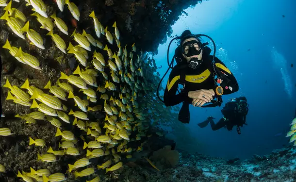 Discover diving with an enthusiast!