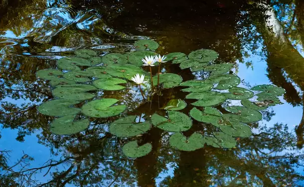 Grande randonnée du Château Dubuc