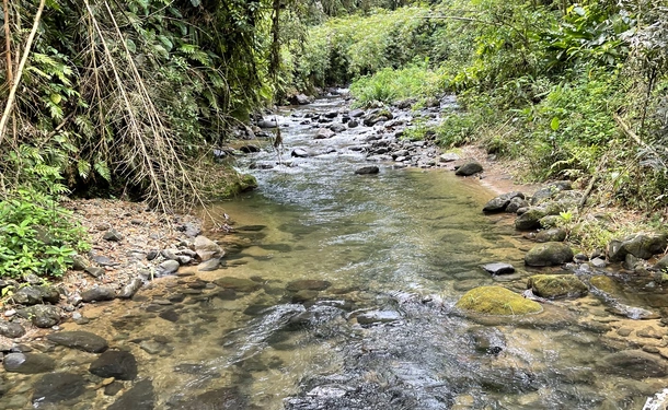 Discovering the Jesuit Trail