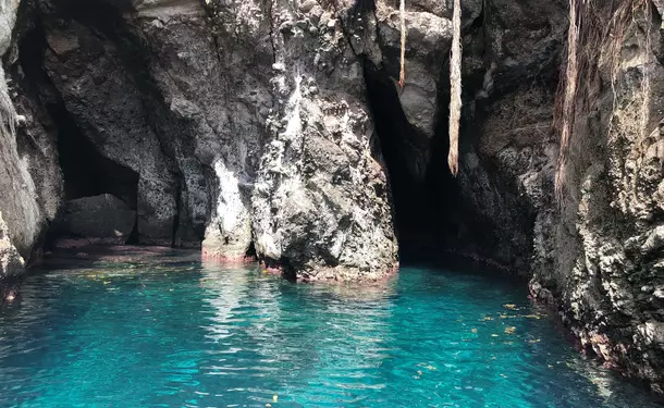 Escapade on the turtle road in the south of Martinique