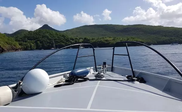 Escapade on the turtle road in the south of Martinique