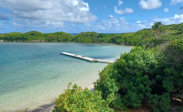 Relaxation day &amp; massage (duo) on Chevalier Island
