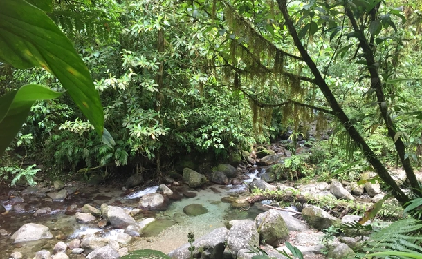 Rando Dlo - Randonnée et baignade à la cascade de l'Alma